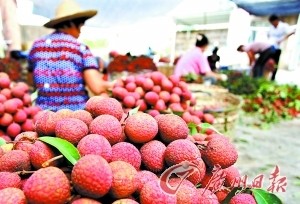 點(diǎn)擊瀏覽下一頁(yè)