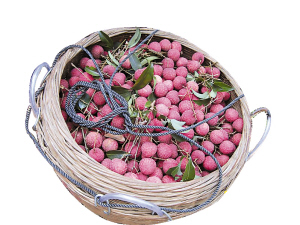 點(diǎn)擊瀏覽下一頁(yè)